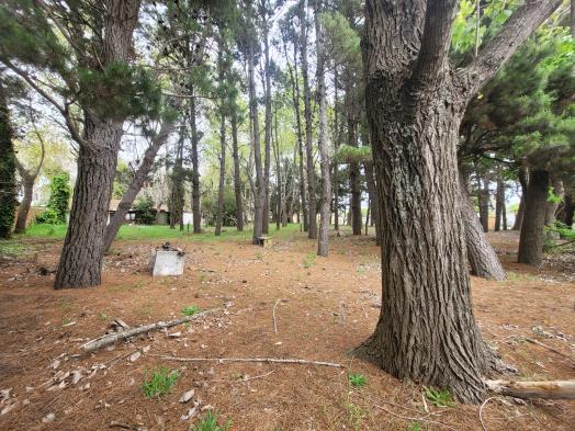 Lote arbolado en Mar de Ajo- Financiado