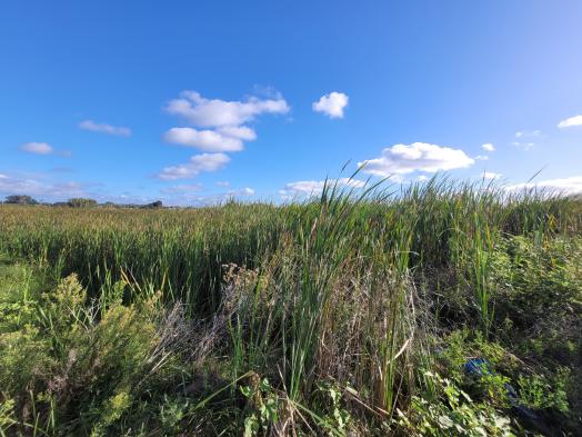Lote en venta de 400m² en Mar del Tuyú