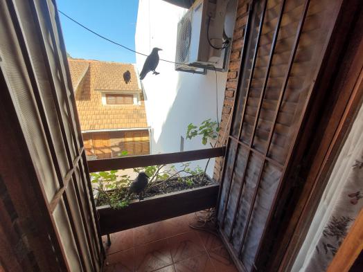 Foto del inmueble
